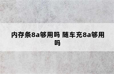 内存条8a够用吗 随车充8a够用吗